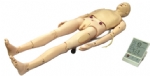 KAS/138 Advanced Adult Nursing Manikin（CPR Training）